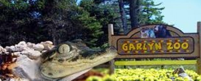 garlyn zoo - image